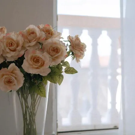 Garden House Apartment Vodice