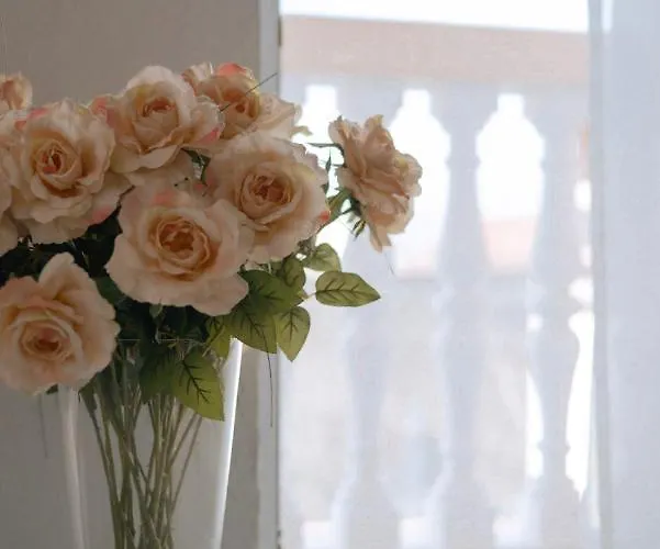 Garden House Appartement Vodice